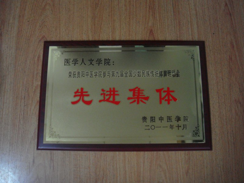 医学人文学院荣获贵阳中医学院参与第九届全国少数民族传统体育运动会志愿者工作先进集体
